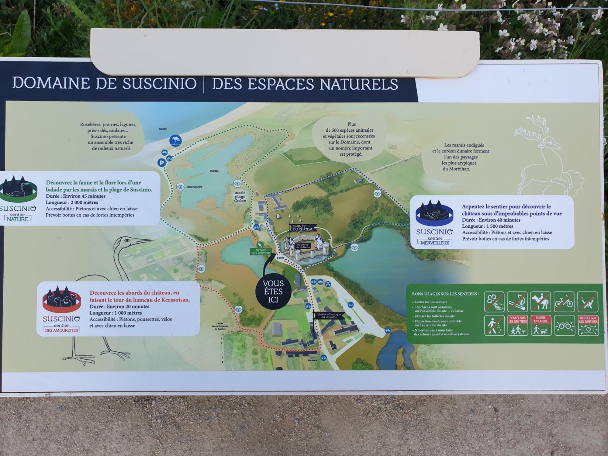 Maison De Vacances A Sarzeau A 5 Min De La Plage A Pieds エクステリア 写真